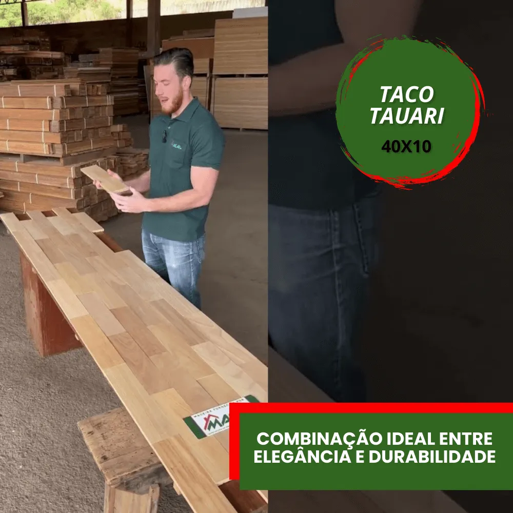 capa youtube - wordpress (1)