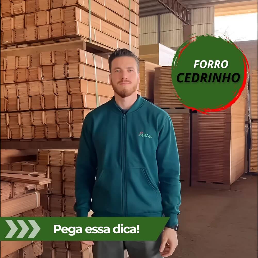 capa youtube - wordpress (4) (1)