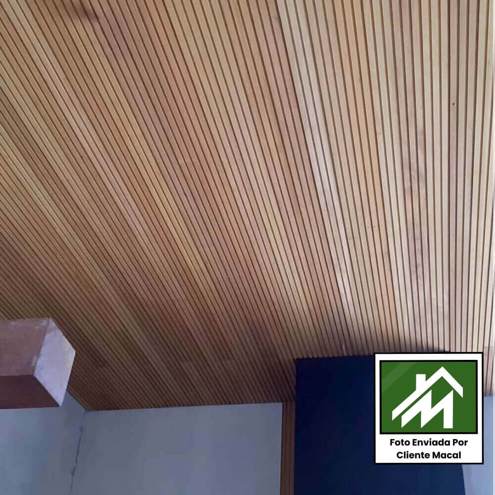 ripado-tauari-tg4 (2) (1)