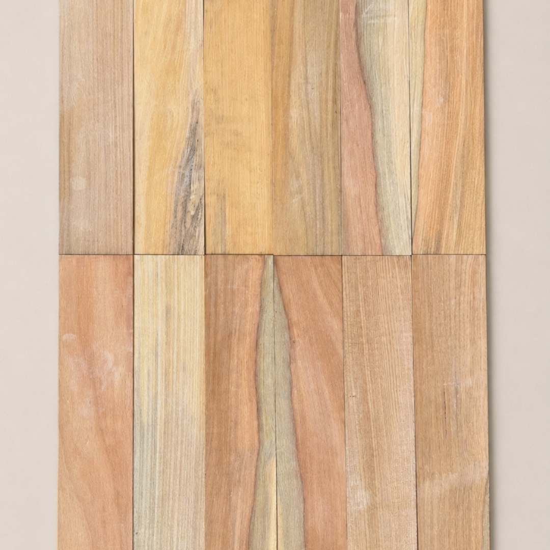Canva 3 - Taco tauari com brancal 40x10 -Padrão 1080 x 1080