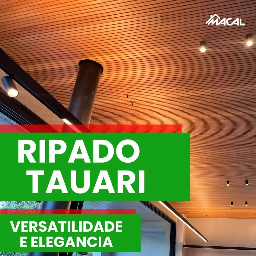 capa youtube - wordpress (5) (1)