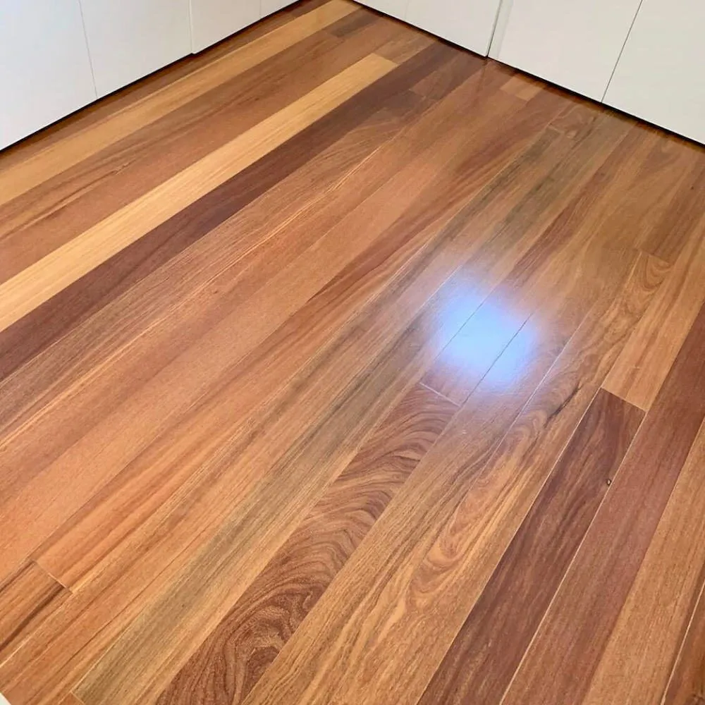 3889796000017209751-1