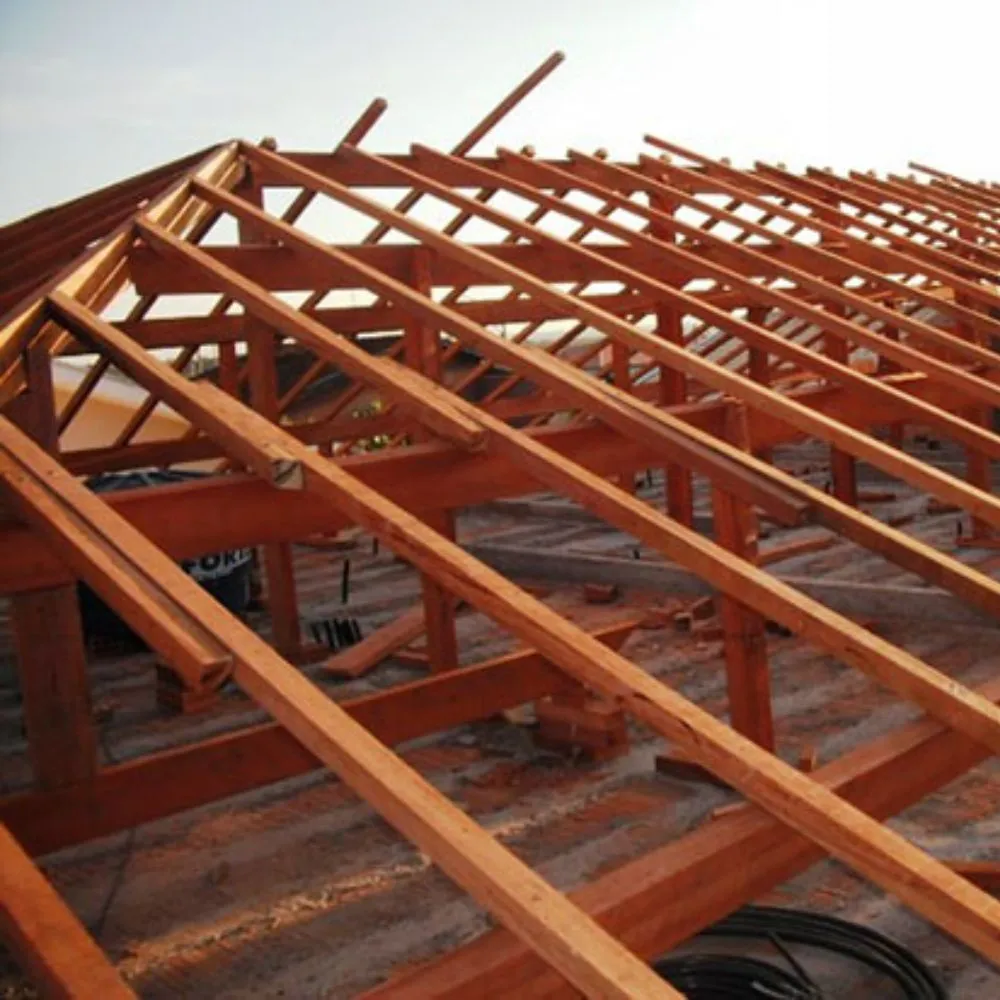 Paraju Aparado 10x5cm