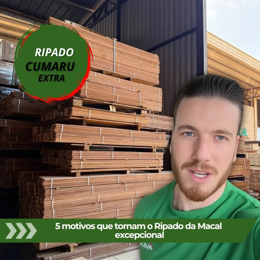 capa youtube - wordpress (18) (2)