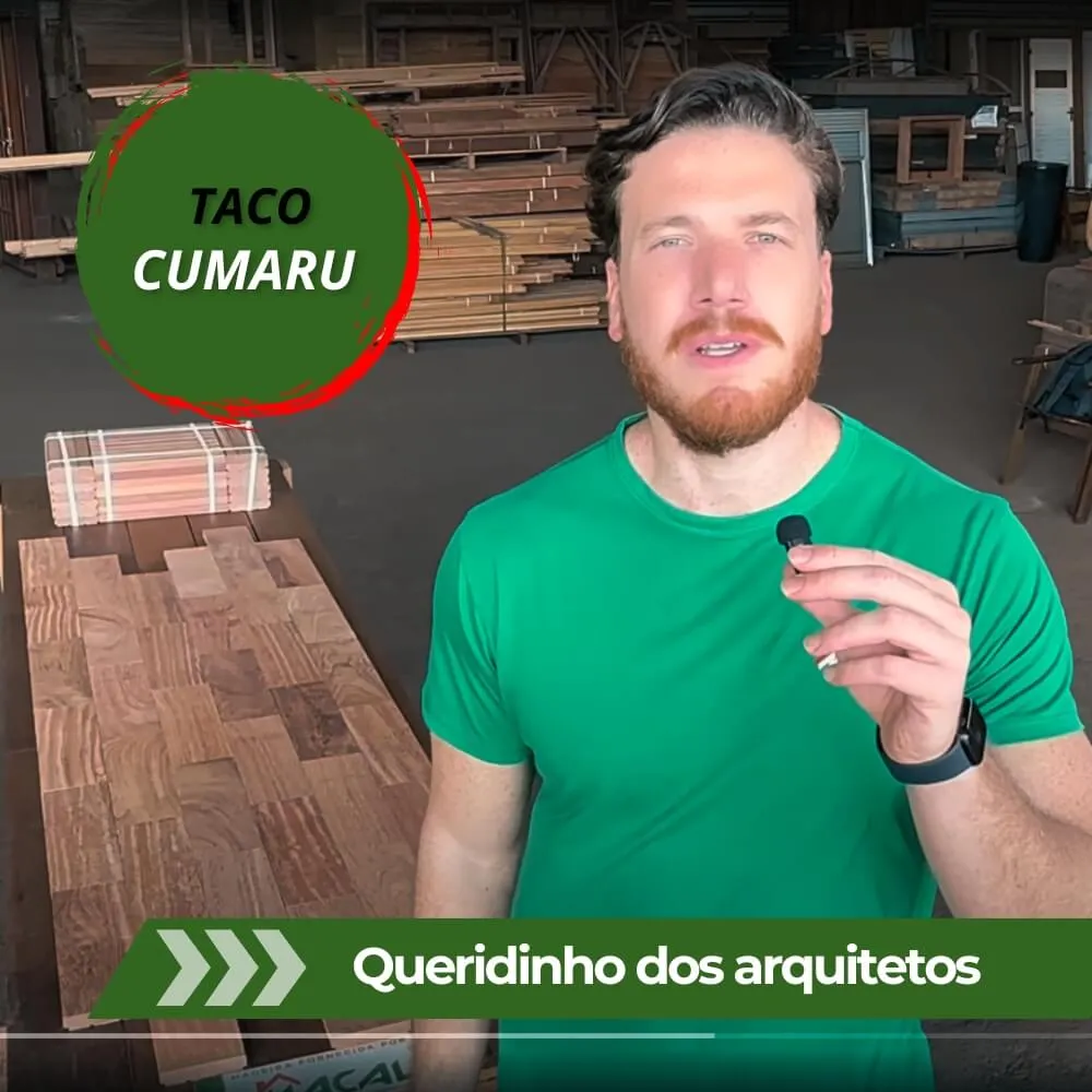 capa youtube - wordpress (32) (1)