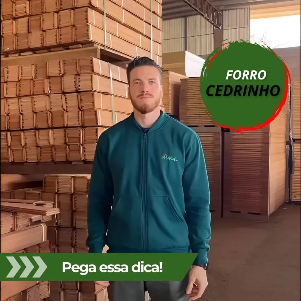 capa youtube - wordpress (4) (1)