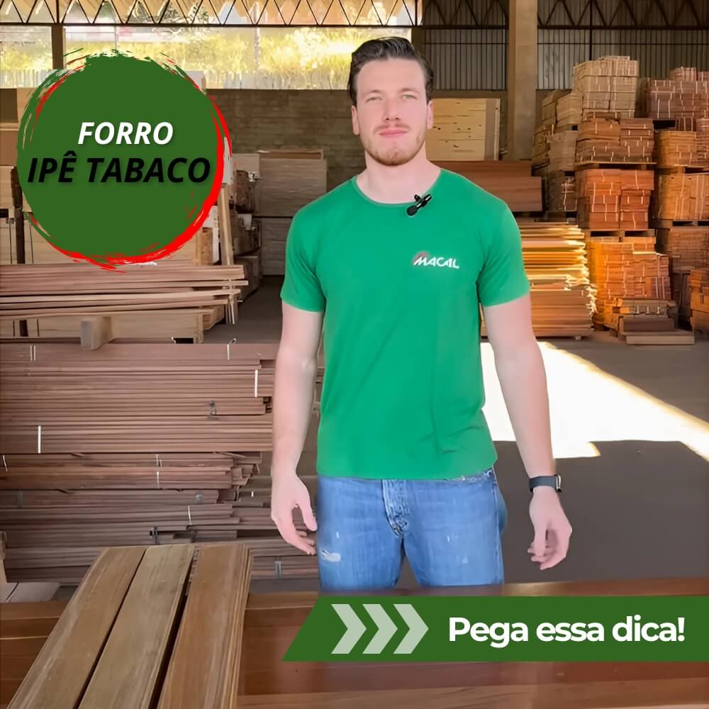 capa youtube - wordpress (6) (1)