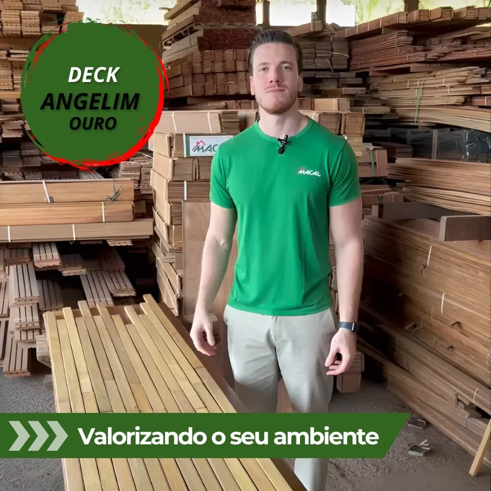 capa youtube - wordpress (14) (1)