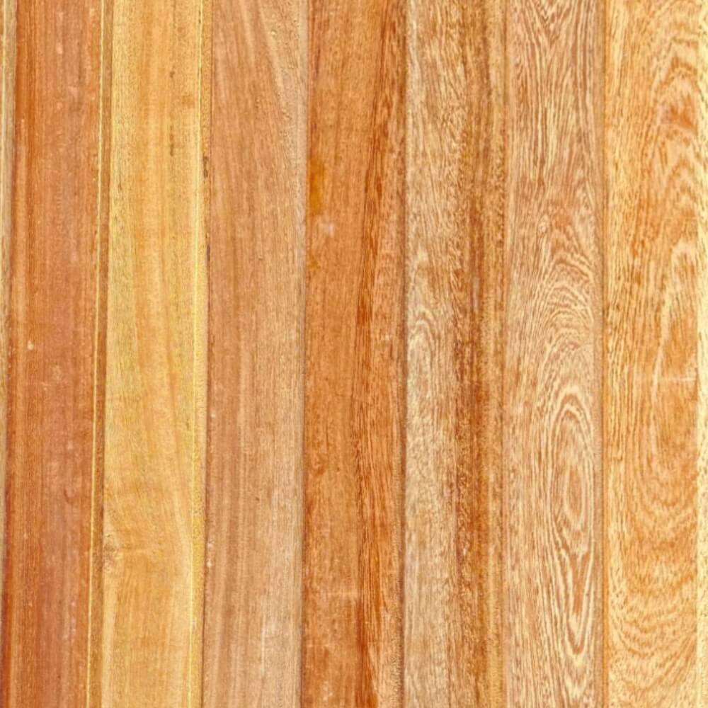 forro-tradicional-angelim-full (1)