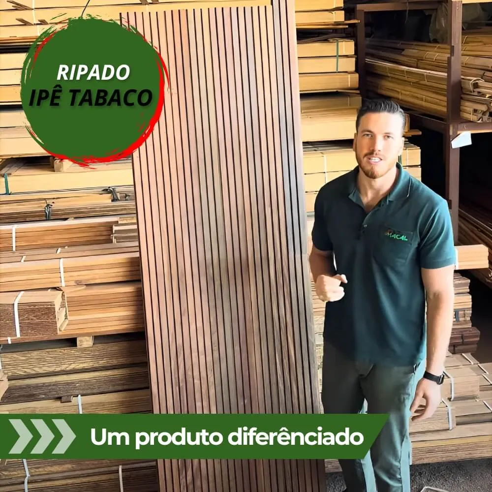 capa youtube - wordpress (1)