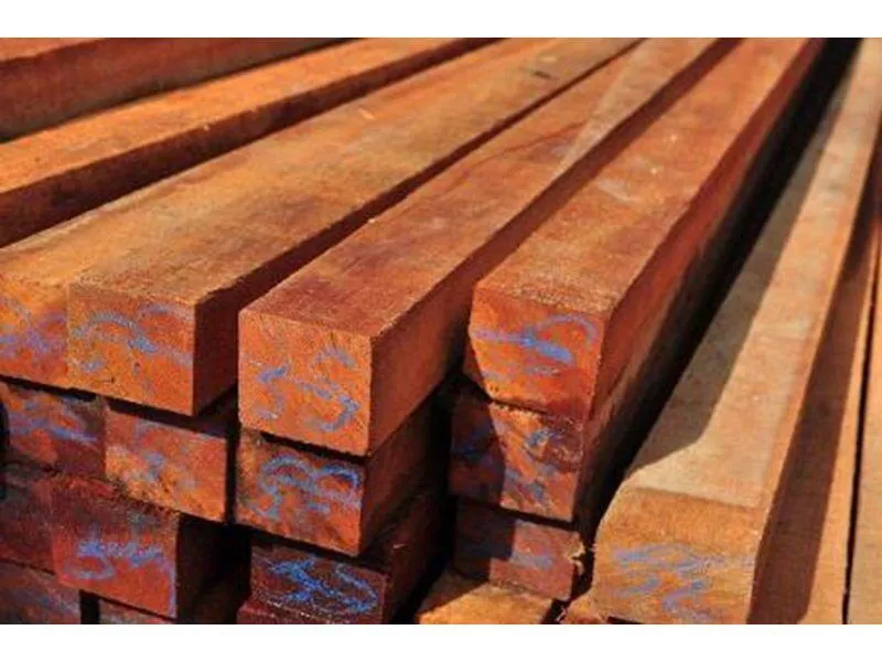 caibro-para-telhado-paraju