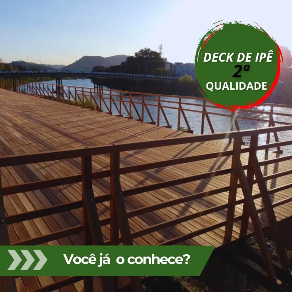 capa youtube - wordpress (48) (1)