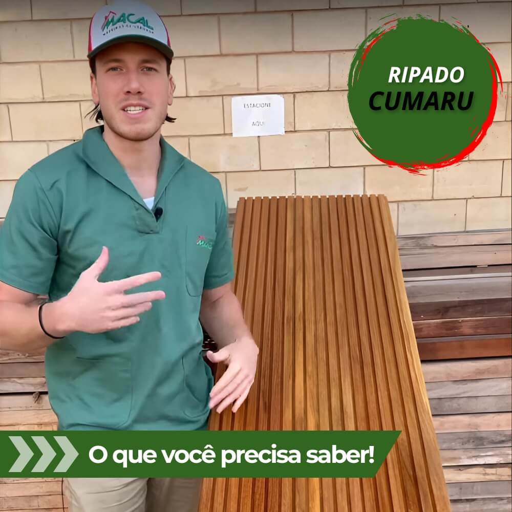 capa youtube - wordpress (2) (1)