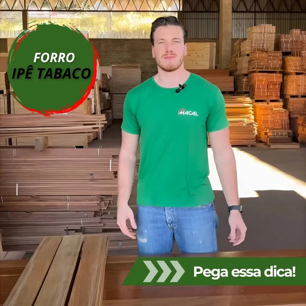 capa youtube - wordpress (6) (1)