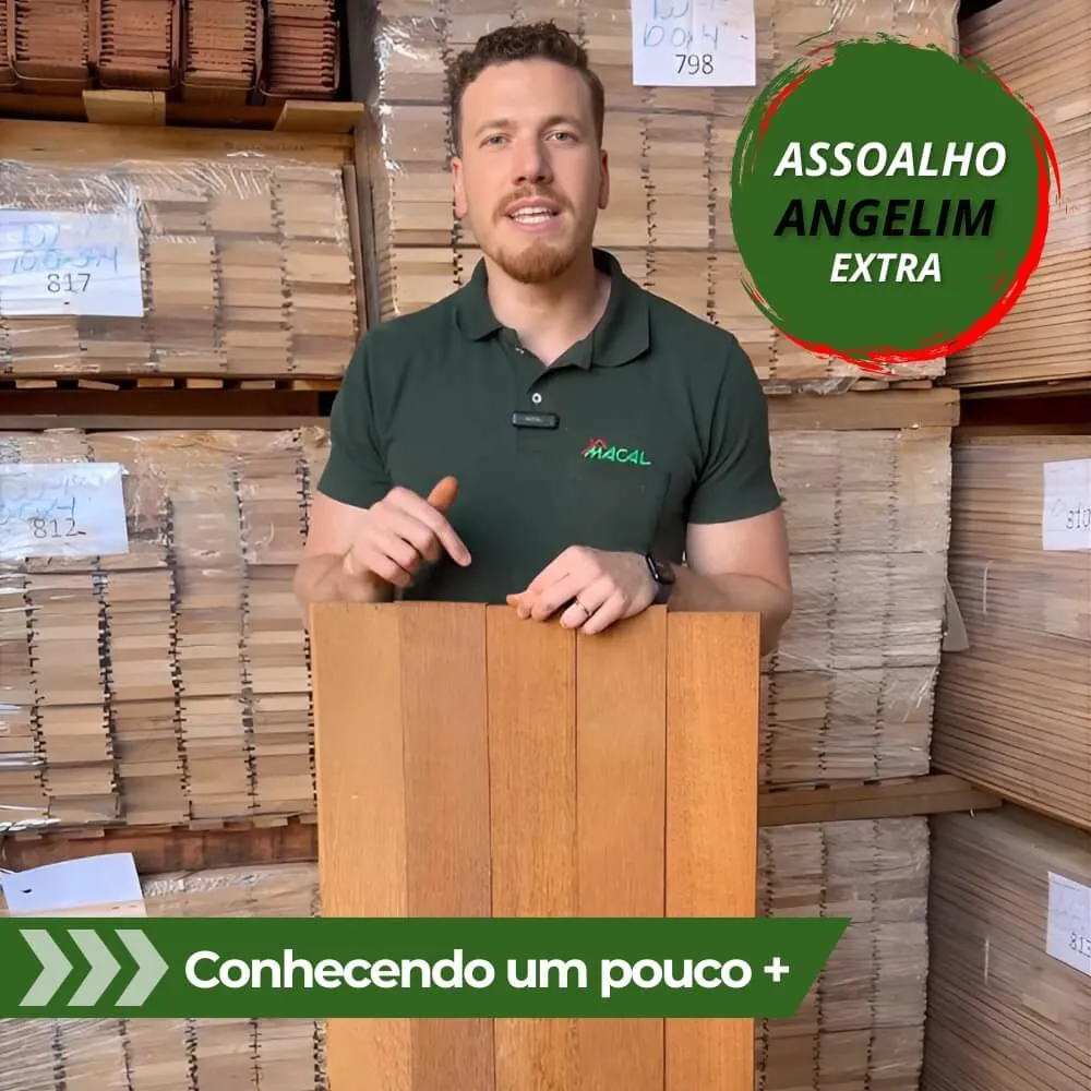 capa youtube - wordpress (47) (1)