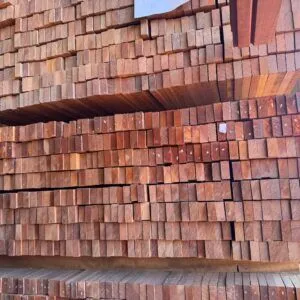 Ripa Paraju Aparelhado