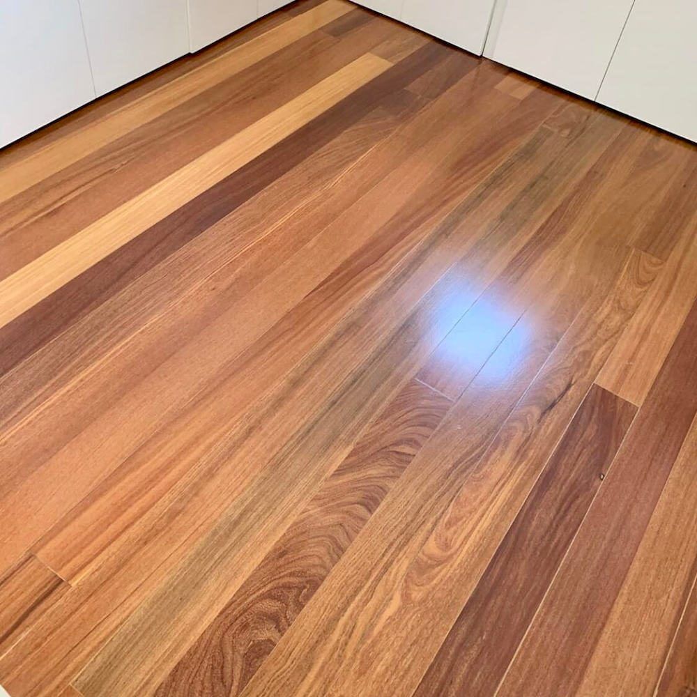 3889796000017209751-1