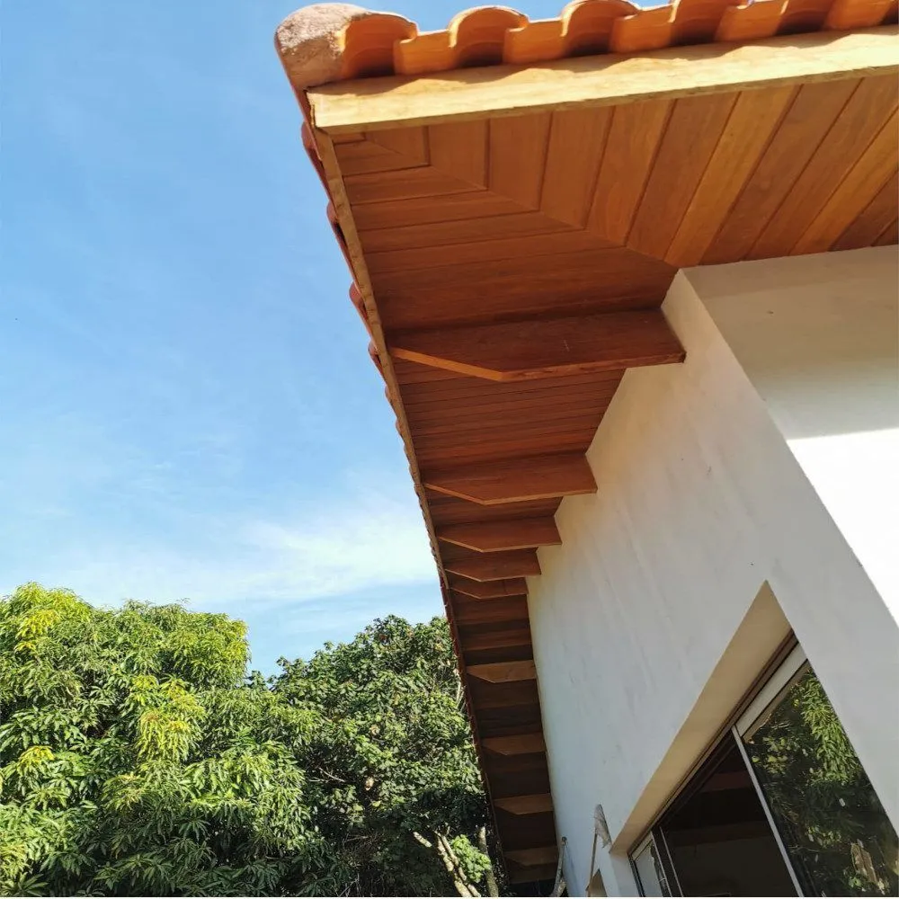 3889796000084048057-1