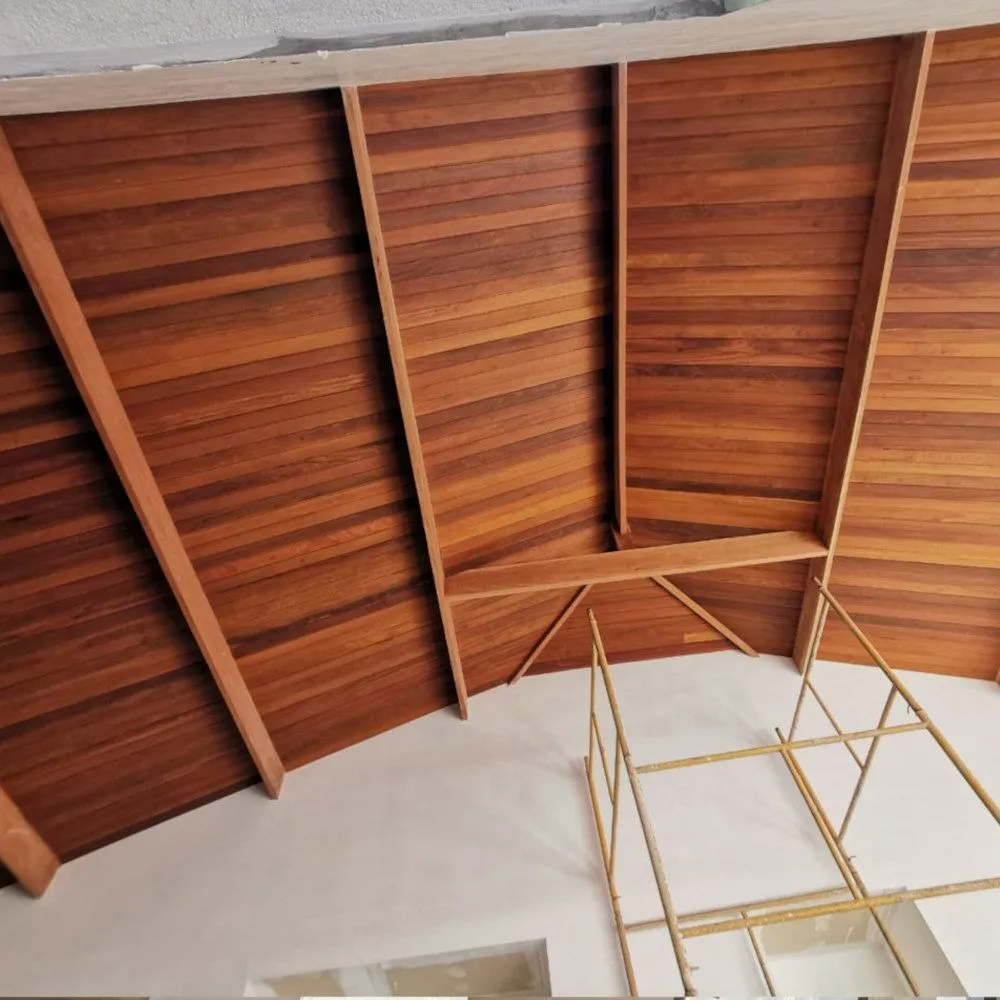 3889796000084048069-1