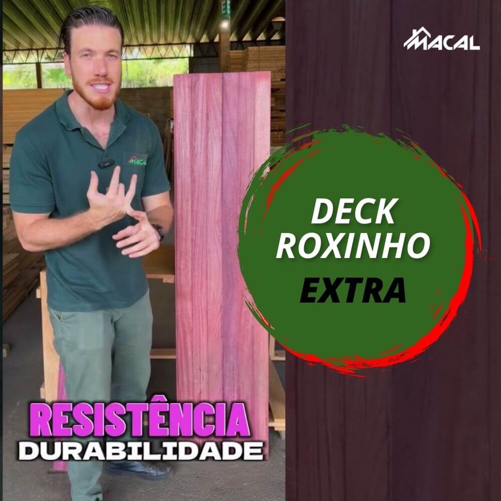 capa youtube - wordpress (4) (1)