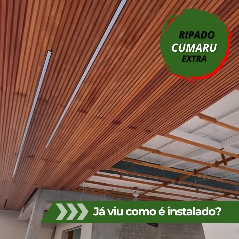 capa youtube - wordpress (21) (1)