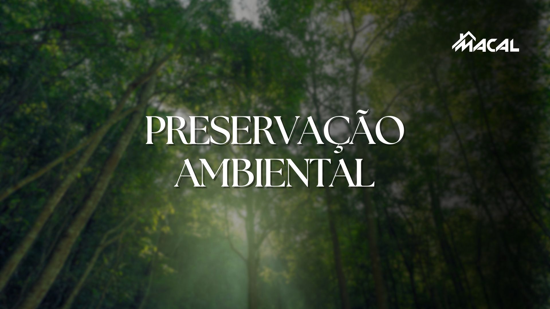 Floresta verde iluminada pelo sol com o texto “Preservação Ambiental” e o logotipo da Macal no canto superior direito, representando o compromisso da empresa com sustentabilidade e conservação ambiental.